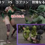 アカリ  VS  ゴブリン  狡猾なる罠