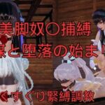 美脚奴〇捕縛 陰謀と堕落の始まり