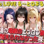 エプロン姿に耐えられなかった夜〜と○ぶる〜【豪華CG500枚収録】
