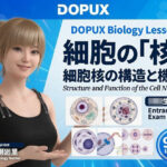 【▲20】一ノ瀬廻里 大学に進学し強豪予備校『DOPUX（ドピュックス』で生物I，IIを教える名物講師に！（Vol.004:細胞の核）