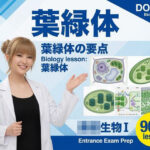 【▲20】一ノ瀬廻里 大学に進学し強豪予備校『DOPUX（ドピュックス』で生物I，IIを教える名物講師に！（Vol.005:葉緑体）