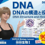 【▲20】一ノ瀬廻里 大学に進学し強豪予備校『DOPUX（ドピュックス』で生物I，IIを教える名物講師に！（Vol.007:DNA-デオキシリボ核酸）