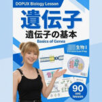 【▲20】一ノ瀬廻里 大学に進学し強豪予備校『DOPUX（ドピュックス』で生物I，IIを教える名物講師に！（Vol.008:遺伝子）