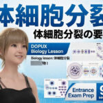 【▲20】一ノ瀬廻里 大学に進学し強豪予備校『DOPUX（ドピュックス』で生物I，IIを教える名物講師に！（Vol.009:体細胞分裂）