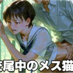 交尾中のメス猫3