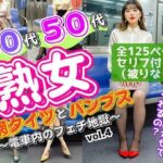 40代50代熟女の網タイツとパンプス〜電車内のフェチ地獄〜 vol.4