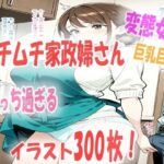 エッチな家政婦さんを雇ったら想像以上にエロ過ぎて興奮がとまらない！イラスト300枚