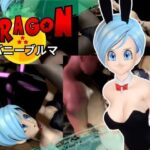 バニーブルマちゃん【着衣・裸体主観視点差分込み約17分】