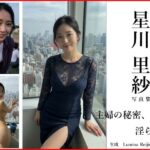 【Lumina Reijin】AI写真集 Vol.2 星川 里紗「主婦の秘密、淫らな配達」