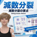 【▲20】一ノ瀬廻里 大学に進学し強豪予備校『DOPUX(ドピュックス』で生物I,IIを教える名物講師に!(Vol.010:減数分裂)