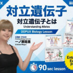 【▲20】一ノ瀬廻里 大学に進学し強豪予備校『DOPUX(ドピュックス』で生物I,IIを教える名物講師に!(Vol.011:対立遺伝子)