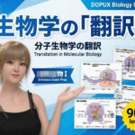 【▲20】一ノ瀬廻里 大学に進学し強豪予備校『DOPUX（ドピュックス』で生物I，IIを教える名物講師に！（Vol.016:翻訳）