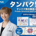 【▲20】一ノ瀬廻里 大学に進学し強豪予備校『DOPUX（ドピュックス』で生物I，IIを教える名物講師に！（Vol.017:タンパク質）