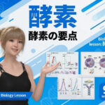 【▲20】一ノ瀬廻里 大学に進学し強豪予備校『DOPUX（ドピュックス』で生物I，IIを教える名物講師に！（Vol.018:酵素）