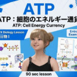 【▲20】一ノ瀬廻里 大学に進学し強豪予備校『DOPUX（ドピュックス』で生物I，IIを教える名物講師に！（Vol.019:ATP）