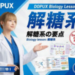 【▲20】一ノ瀬廻里 大学に進学し強豪予備校『DOPUX（ドピュックス』で生物I，IIを教える名物講師に！（Vol.021:解糖系）
