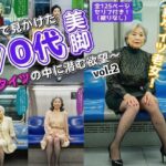 電車で見かけた70代の美脚〜網タイツの中に潜む欲望〜 vol.2