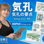 【▲20】一ノ瀬廻里 大学に進学し強豪予備校『DOPUX（ドピュックス』で生物I，IIを教える名物講師に！（Vol.026:気孔）