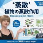 【▲20】一ノ瀬廻里 大学に進学し強豪予備校『DOPUX（ドピュックス』で生物I，IIを教える名物講師に！（Vol.027:蒸散）