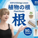 【▲20】一ノ瀬廻里 大学に進学し強豪予備校『DOPUX（ドピュックス』で生物I，IIを教える名物講師に！（Vol.030:根）