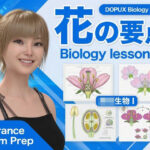 【▲20】一ノ瀬廻里 大学に進学し強豪予備校『DOPUX（ドピュックス』で生物I，IIを教える名物講師に！（Vol.033:花）