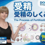 【▲20】一ノ瀬廻里 大学に進学し強豪予備校『DOPUX（ドピュックス』で生物I，IIを教える名物講師に！（Vol.035:受精）