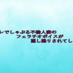 トイレでしゃぶる不倫人妻のフェラチオボイスが隠し撮りされてしまう