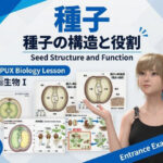 【▲20】一ノ瀬廻里 大学に進学し強豪予備校『DOPUX（ドピュックス』で生物I，IIを教える名物講師に！（Vol.036:種子）