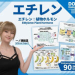 【▲20】一ノ瀬廻里 大学に進学し強豪予備校『DOPUX（ドピュックス』で生物I，IIを教える名物講師に！（Vol.042:エチレン）