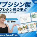 【▲20】一ノ瀬廻里 大学に進学し強豪予備校『DOPUX（ドピュックス』で生物I，IIを教える名物講師に！（Vol.043:アブシジン酸）