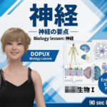 【▲20】パンチラガチャ★一ノ瀬廻里 大学に進学し強豪予備校『DOPUX（ドピュックス』で生物I，IIを教える名物講師に！（Vol.045:神経）