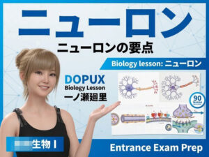 【▲20】パンチラガチャ★一ノ瀬廻里 大学に進学し強豪予備校『DOPUX(ドピュックス』で生物I,IIを教える名物講師に!(Vol.046:ニューロン)