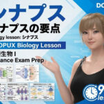【▲20】パンチラガチャ★一ノ瀬廻里 大学に進学し強豪予備校『DOPUX（ドピュックス』で生物I，IIを教える名物講師に！（Vol.047:シナプス）