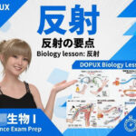 【▲20】パンチラガチャ★一ノ瀬廻里 大学に進学し強豪予備校『DOPUX（ドピュックス』で生物I，IIを教える名物講師に！（Vol.048:反射）