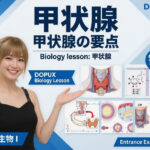 【▲20】パンチラガチャ★一ノ瀬廻里 大学に進学し強豪予備校『DOPUX（ドピュックス』で生物I，IIを教える名物講師に！（Vol.050:甲状腺）