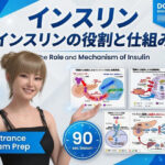 【▲20】パンチラガチャ★一ノ瀬廻里 大学に進学し強豪予備校『DOPUX（ドピュックス』で生物I，IIを教える名物講師に！（Vol.051:インスリン）
