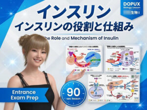 【▲20】パンチラガチャ★一ノ瀬廻里 大学に進学し強豪予備校『DOPUX（ドピュックス』で生物I，IIを教える名物講師に！（Vol.051:インスリン）