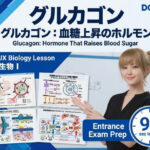 【▲20】パンチラガチャ★一ノ瀬廻里 大学に進学し強豪予備校『DOPUX（ドピュックス』で生物I，IIを教える名物講師に！（Vol.052:グルカゴン）