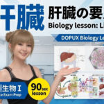 【▲20】パンチラガチャ★一ノ瀬廻里 大学に進学し強豪予備校『DOPUX（ドピュックス』で生物I，IIを教える名物講師に！（Vol.054:肝臓）