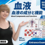 【▲20】パンチラガチャ★一ノ瀬廻里 大学に進学し強豪予備校『DOPUX(ドピュックス』で生物I,IIを教える名物講師に!(Vol.057:血液)