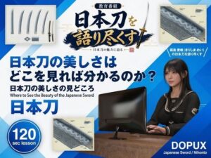 パンチラガチャ★霧島 愛唯（きりしま めい）『日本刀を語り尽くす』第1章-まず「日本刀とは何か」を知る（009-日本刀の美しさはどこを見れば分かるのか？）