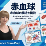 【▲20】パンチラガチャ★一ノ瀬廻里 大学に進学し強豪予備校『DOPUX（ドピュックス』で生物I，IIを教える名物講師に！（Vol.058:赤血球）