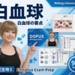 【▲20】パンチラガチャ★一ノ瀬廻里 大学に進学し強豪予備校『DOPUX（ドピュックス』で生物I，IIを教える名物講師に！（Vol.059:白血球）