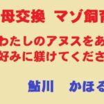 美母交換 マゾ飼育