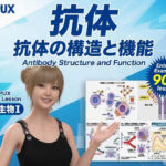 【▲20】パンチラガチャ★一ノ瀬廻里 大学に進学し強豪予備校『DOPUX(ドピュックス』で生物I,IIを教える名物講師に!(Vol.060:抗体)