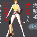 海賊娘ナミさんにいたずらされたボク