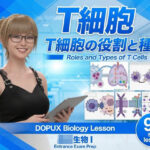 【▲20】パンチラガチャ★一ノ瀬廻里 大学に進学し強豪予備校『DOPUX（ドピュックス』で生物I，IIを教える名物講師に！（Vol.065:T細胞）